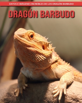 Dragón barbudo: Datos e imágenes increíbles de los Dragón barbudo