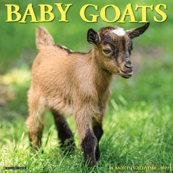 Calendar Baby Goats 2022 Wall Calendar Book
