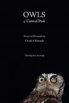 Paperback Owls of Central Park Book