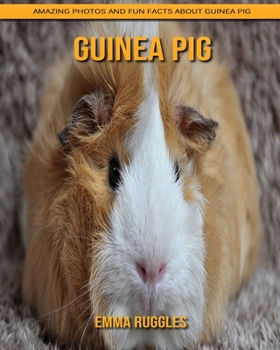 Guinea pig: Amazing Photos and Fun Facts about Guinea pig
