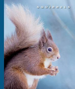 Hardcover Squirrels Book