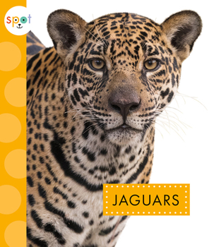 Paperback Jaguars Book