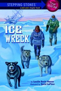 Paperback Ice Wreck Book