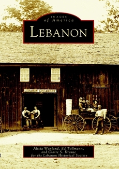 Paperback Lebanon Book
