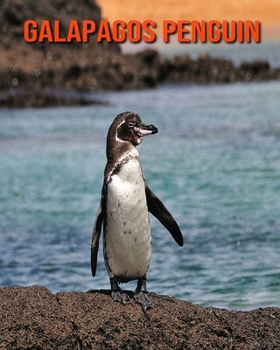 Paperback Galapagos Penguin: Amazing Facts about Galapagos Penguin Book