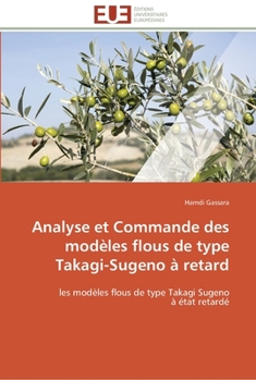Paperback Analyse et commande des modèles flous de type takagi-sugeno à retard [French] Book