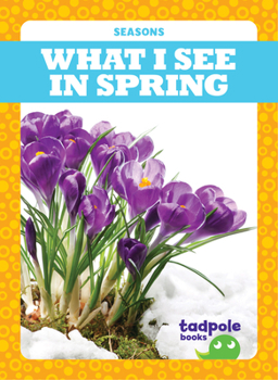 Paperback What I See in Spring Book