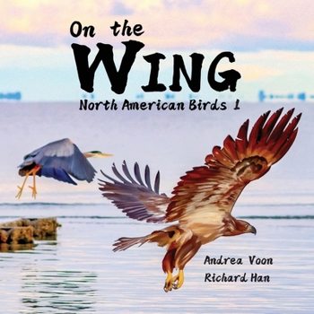 Paperback On the Wing - North American Birds 1 Book