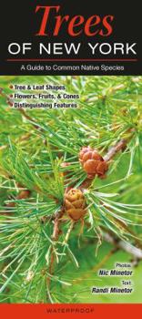 Pamphlet Trees of New York: A Guide to Common Native Species Book