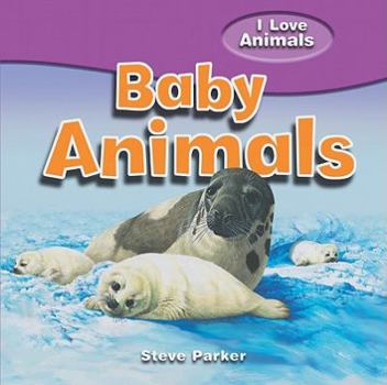 Baby Animals - Book  of the I Love