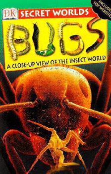 School & Library Binding Bugs: A Close-Up View of the Insect World Book