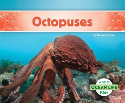 Octopuses - Book  of the Abdo Kids: Ocean Life