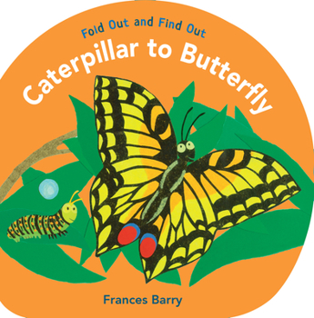 Hardcover Caterpillar to Butterfly: Fold Out and Find Out Book