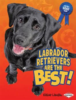 Library Binding Labrador Retrievers Are the Best! Book