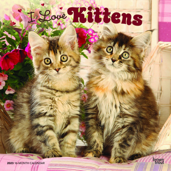 Calendar Kittens, I Love 2023 Square Foil Book