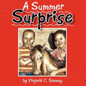 Paperback A Summer Surprise Book