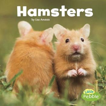 Hamsters - Book  of the Our Pets