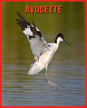 Paperback Avocette: Informations Amusantes et Photos Etonnantes d'Animaux dans la Nature [French] Book