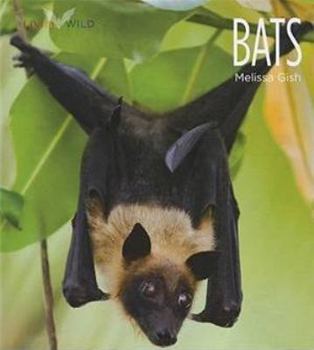 Bats - Book  of the Living Wild