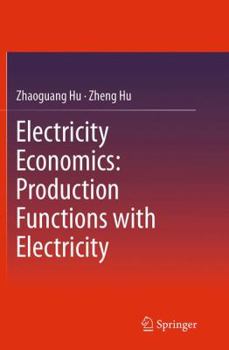 Paperback Electricity Economics: Production Functions with Electricity Book