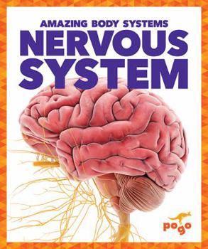 Nervous System - Book  of the Amazing Body Systems