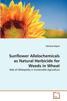 Paperback Sunflower Allelochemicals as Natural Herbicide for Weeds in Wheat Book