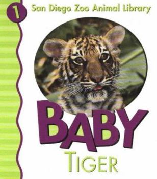 Board book Baby Tiger Book