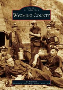 Paperback Wyoming County Book