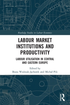 Paperback Labour Market Institutions and Productivity: Labour Utilisation in Central and Eastern Europe Book