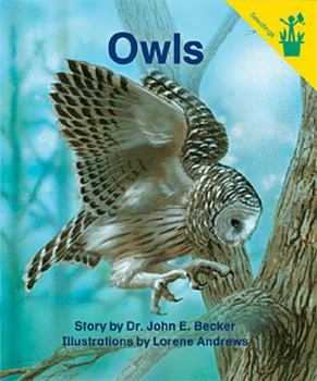 Paperback Early Reader: Owls Book