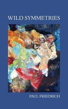 Paperback Wild Symmetries Book
