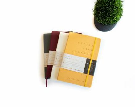 Better Life Journal - 4 Pack (full Year)