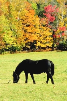 Paperback 2020 Daily Planner Horse Photo Equine Grazing Horse Fall Foliage 388 Pages: 2020 Planners Calendars Organizers Datebooks Appointment Books Agendas Book