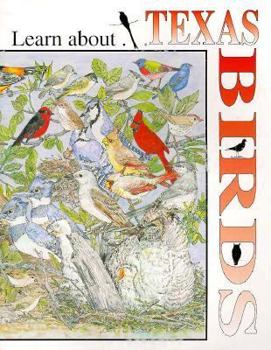 Paperback Learn about Texas Birds Book