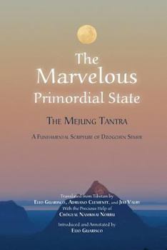 Paperback The Marvelous Primordial State Book