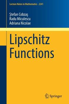 Paperback Lipschitz Functions Book