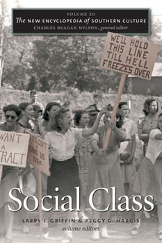 The New Encyclopedia of Southern Culture, Volume 20: Social Class - Book #20 of the New Encyclopedia of Southern Culture