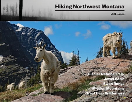 Paperback Hiking Northwest Montana Book
