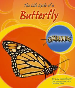 Paperback The Life Cycle of a Butterfly Book