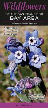 Pamphlet Wildflowers of the San Francisco Bay Area: A Guide to Common & Notable Species Book