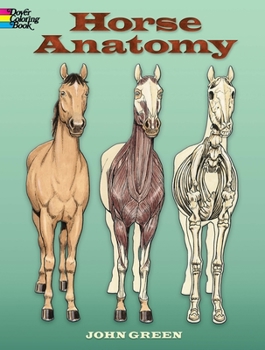 Paperback Horse Anatomy Coloring Book
