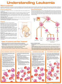 Wall Chart Understanding Leukemia Anatomical Chart Book