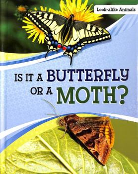 Hardcover Is It a Butterfly or a Moth? (Look-Alike Animals) Book