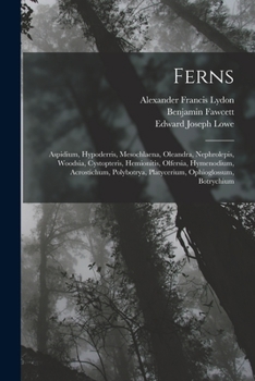Paperback Ferns: Aspidium, Hypoderris, Mesochlaena, Oleandra, Nephrolepis, Woodsia, Cystopteris, Hemionitis, Olfersia, Hymenodium, Acro Book