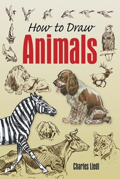 Paperback How to Draw Animals Book