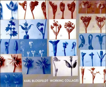 Hardcover Karl Blossfeldt: Working Collages Book