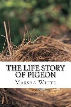 Paperback The Life Story of Pigeon: Moving from trees to windows, a side-effect of deforestation Book