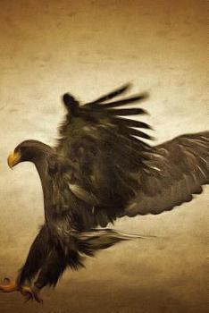 Paperback Eagle Notebook Book