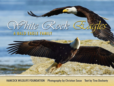 Hardcover White Rock Eagles: A Bald Eagle Family Book