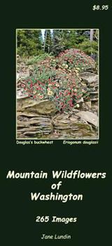 Paperback Mountain Wildflowers of Washington: 265 Images Book